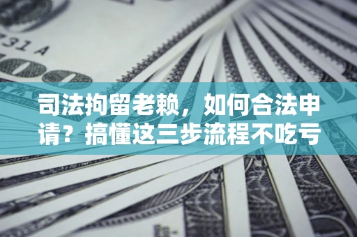北京司法拘留老赖，如何合法申请？搞懂这三步流程不吃亏！