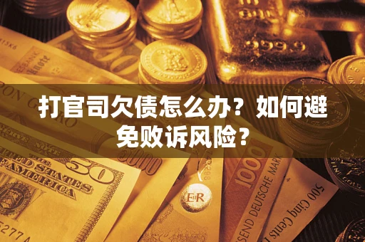 北京打官司欠债怎么办？如何避免败诉风险？