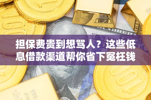 北京担保费贵到想骂人？这些低息借款渠道帮你省下冤枉钱