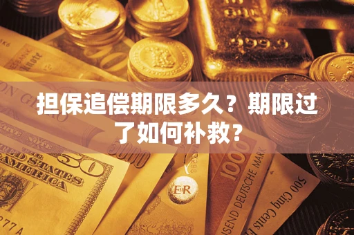 北京担保追偿期限多久？期限过了如何补救？