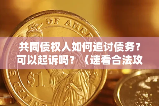 北京共同债权人如何追讨债务？可以起诉吗？（速看合法攻略）