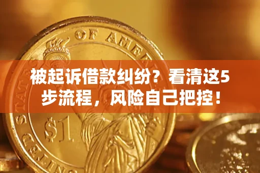 北京被起诉借款纠纷？看清这5步流程，风险自己把控！