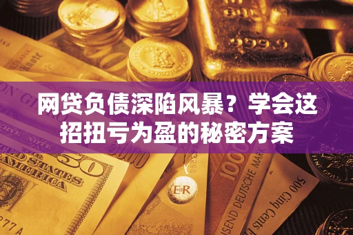 北京网贷负债深陷风暴？学会这招扭亏为盈的秘密方案