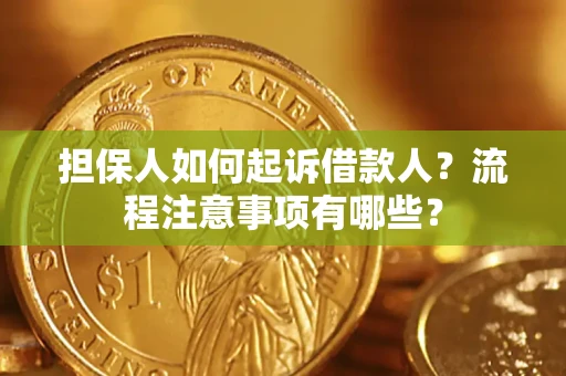 北京担保人如何起诉借款人？流程注意事项有哪些？